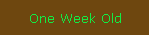 One Week Old