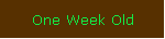 One Week Old