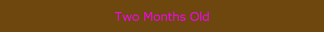 Two Months Old