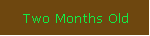 Two Months Old