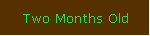 Two Months Old