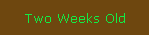 Two Weeks Old