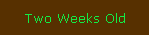 Two Weeks Old