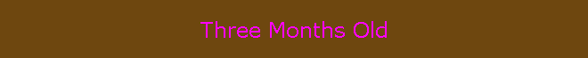 Three Months Old