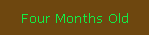 Four Months Old