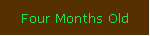 Four Months Old