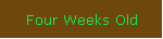 Four Weeks Old